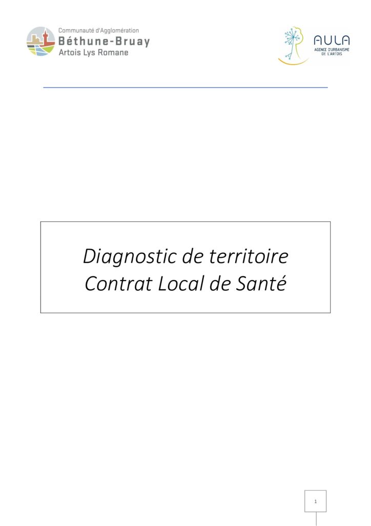 thumbnail of Diagnostic de territoire